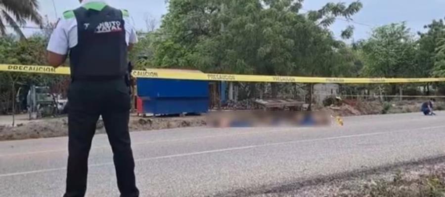 Abandonan 5 cuerpos en carretera de Tecpan de Galeana, Guerrero