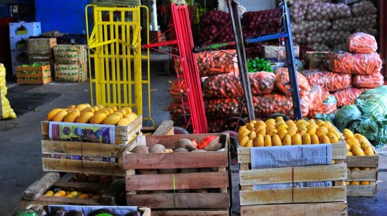 Canasta Básica sigue siendo más económica en Central de Abasto pese a lluvias