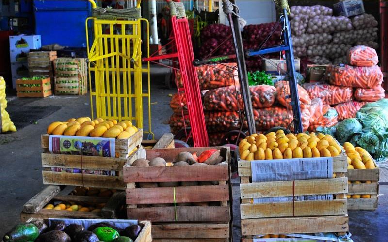 Canasta Básica sigue siendo más económica en Central de Abasto pese a lluvias