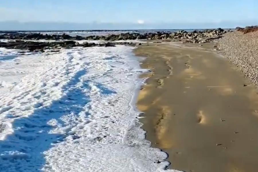 Frío extremo congela el mar en Tierra del Fuego en Argentina