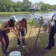 Embajadoras y exembajadoras inician campaña "Reforestab" en el Parque Tabasco