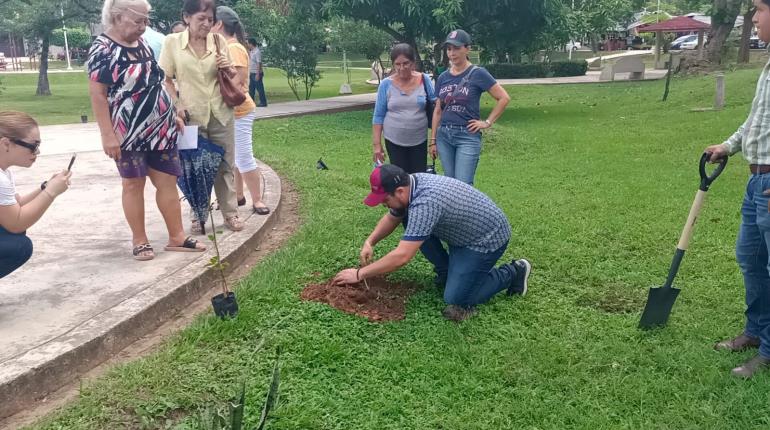 Movimientos sociales plantan 55 árboles en Infonavit Atasta