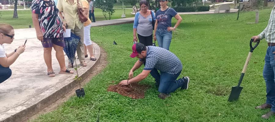 Movimientos sociales plantan 55 árboles en Infonavit Atasta