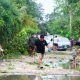 "Beryl" afectó 77 carreteras de seis estados, informa la SICT