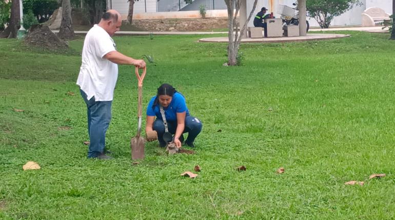Celebra Subsecretaría de Cambio Climático suma de colectivos civiles en campañas de reforestación