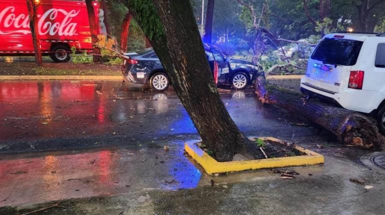 Lluvias en Tabasco dejan accidentes, caída de árboles y cables de luz