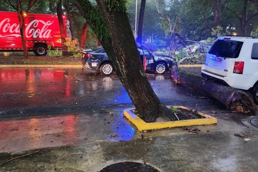 Lluvias en Tabasco dejan accidentes, caída de árboles y cables de luz