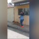 Mujer acusa de violación a hombre que le pidió recogiera las heces de su perro en Oaxaca