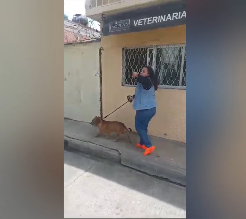 Mujer acusa de violación a hombre que le pidió recogiera las heces de su perro en Oaxaca