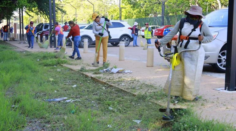 Realizan Jornada Integral de Limpieza en Mayito y Tulipanes