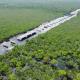 Comunidades de Bacalar acusan que Tren Maya impide el flujo del agua de lluvia