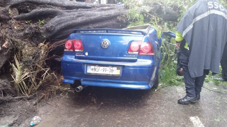 Cae árbol sobre un vehículo y mujer pierde la vida en CDMX; su hijo menor de edad sobrevive