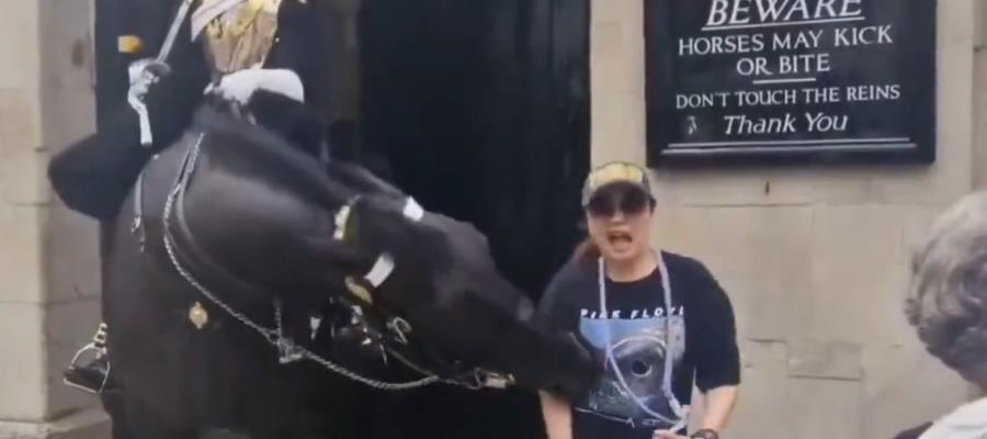 Turista buscaba la foto del recuerdo y es mordida por caballo de la Guardia Real