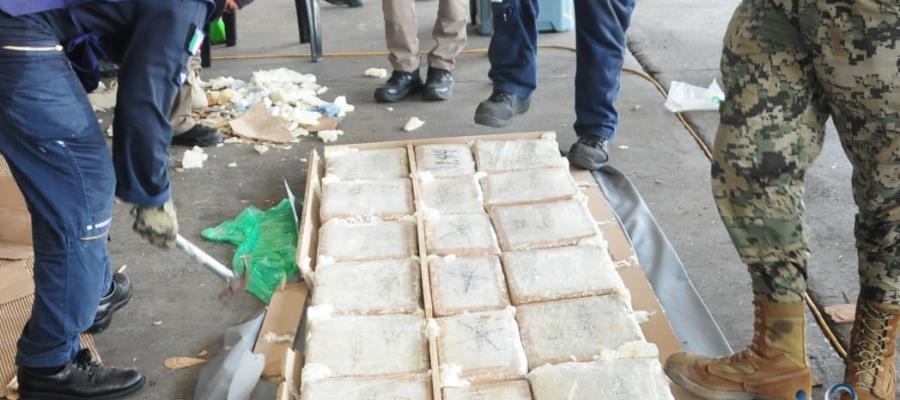 Asegura Semar más de 6 toneladas de marihuana en Veracruz