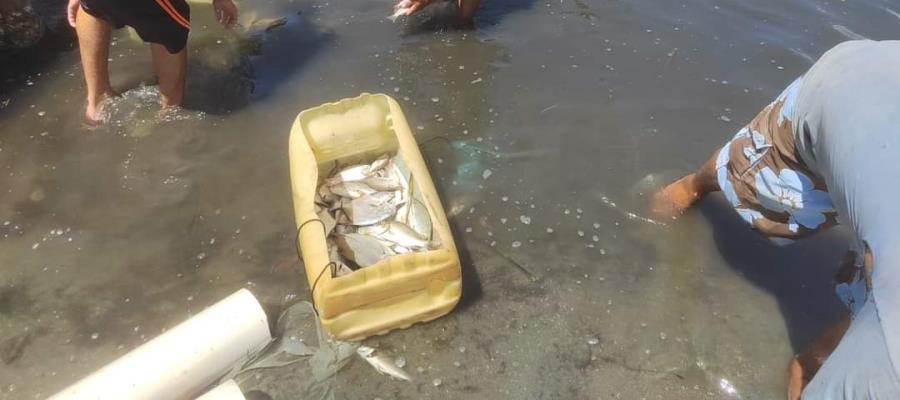 Sedener abierta a "acompañar" a pobladores ante mortandad de peces