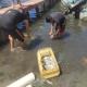 Reportan mortandad de peces a orillas de Isla Andrés García de Paraíso