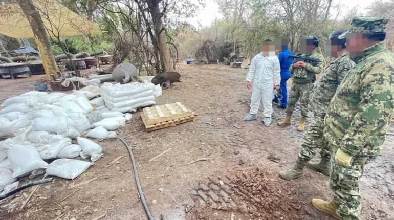 926 toneladas de droga aseguradas y 207 narcolaboratorios han sido desmantelados en Sinaloa y Durango en el último año