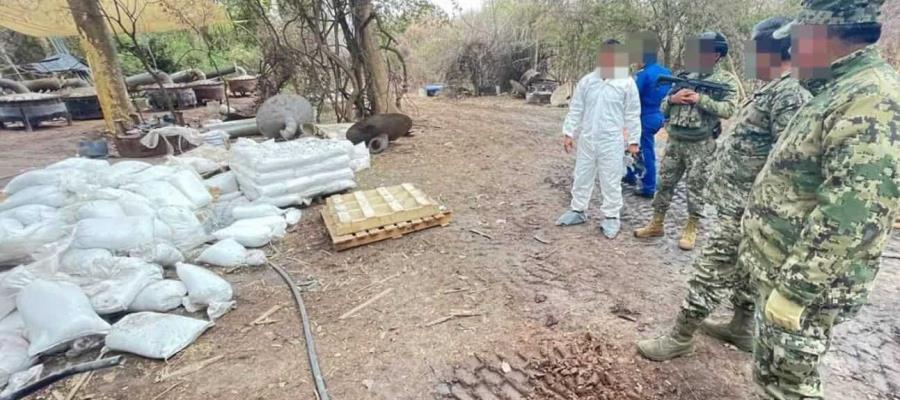 926 toneladas de droga aseguradas y 207 narcolaboratorios han sido desmantelados en Sinaloa y Durango en el último año