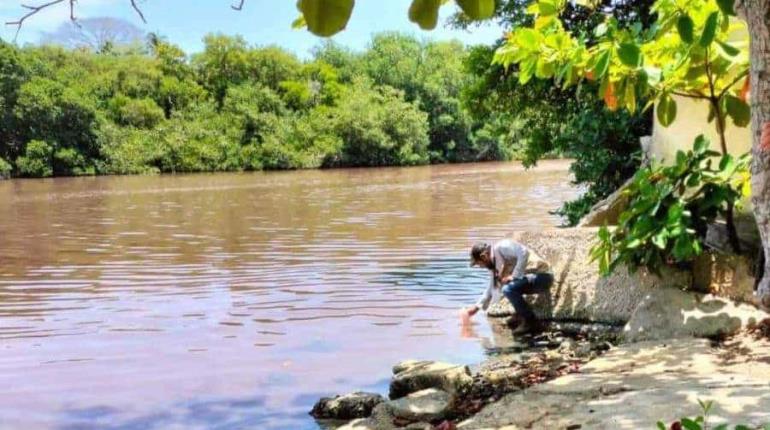 Realizan muestreo en río seco tras aparición de peces muertos y "agua rosa" en Paraíso