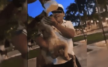 Exhiben a jóvenes obligando a perro a tomar cerveza en Yucatán