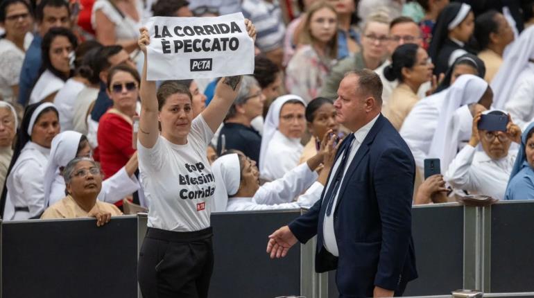 Activistas contra el maltrato animal irrumpen audiencia del Papa