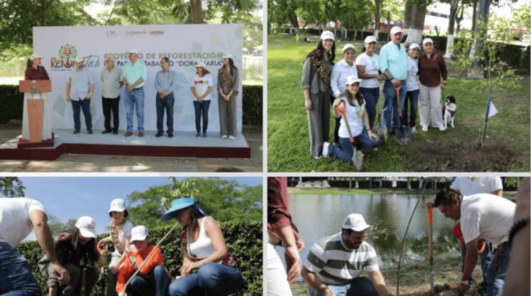 Anuncia DIF segunda fase de reforestación del Parque Tabasco