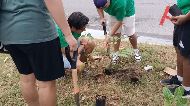 Ambientalistas siembran otros 22 árboles frente al Parque Tabasco