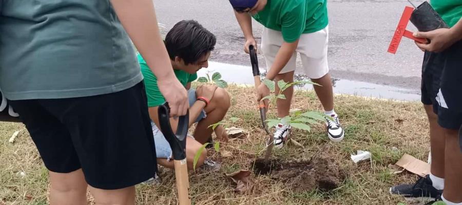 Ambientalistas siembran otros 22 árboles frente al Parque Tabasco