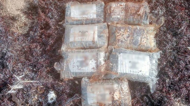 Hallan paquetes de cocaína entre el sargazo en Quintana Roo