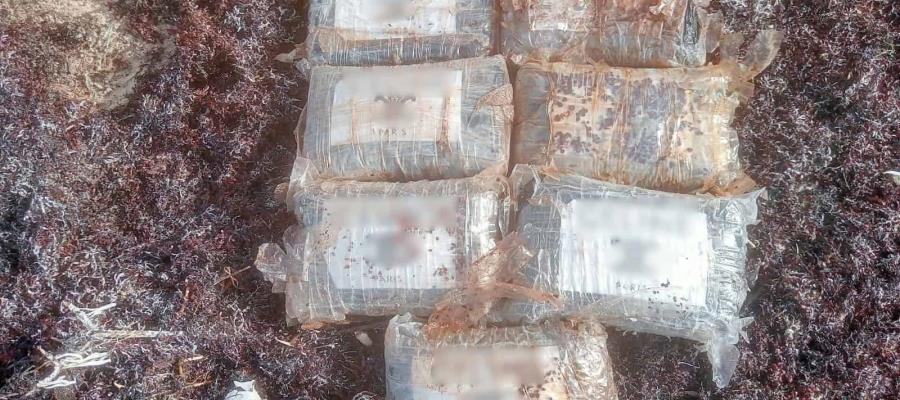 Hallan paquetes de cocaína entre el sargazo en Quintana Roo