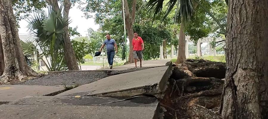 Reportan vecinos malas condiciones del circuito de laguna La Encantada en Gaviotas