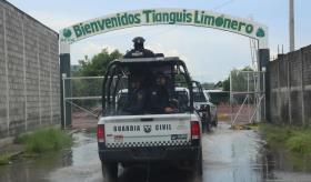 Empacadoras de limón en Michoacán reanudan actividades