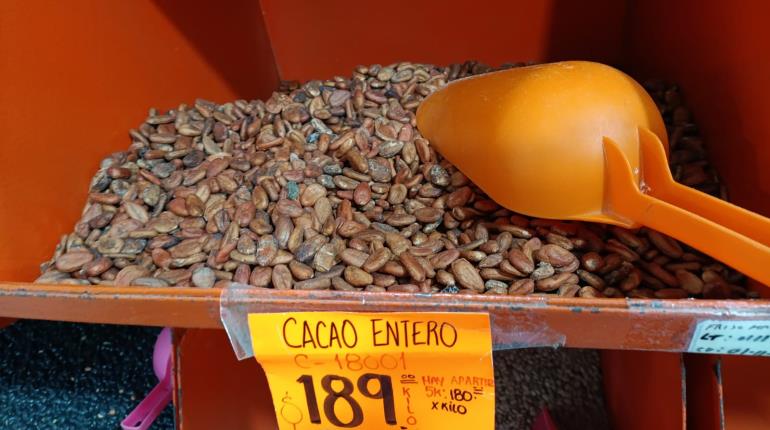 Incremento en precio del cacao es internacional: Sedec