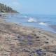 Semarnat, instancia para atender contaminación por chapapote en playas de Paraíso: Conagua