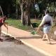 Colectivo ciclista realiza jornada de limpieza en la ecovía del CICOM