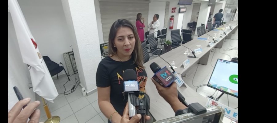 Capacidad técnica del INE para la elección de jueces y magistrados no está en duda: Elizabeth Tapia