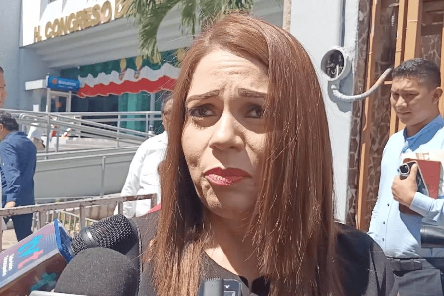 Se analizará si se hace auditoría a administración de Merino: Mileyli Wilson