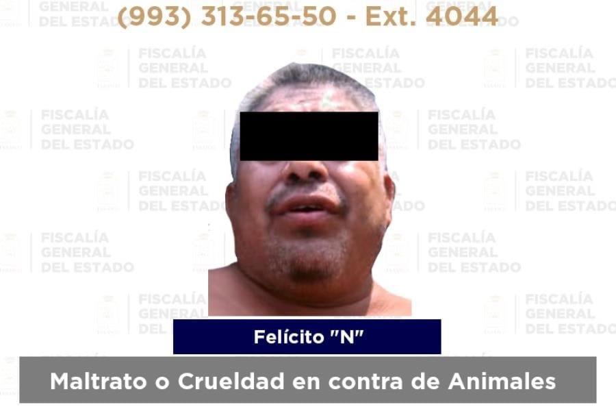 Vinculan a proceso por extrema crueldad a sujeto que asesinó a perrita en Jalapa