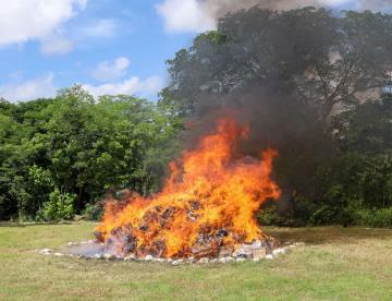 Realiza FGR incineración de narcóticos en Tabasco