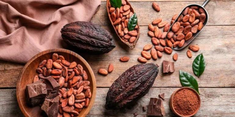 Cacao ya no volverá a su mismo precio: Hacienda La Luz