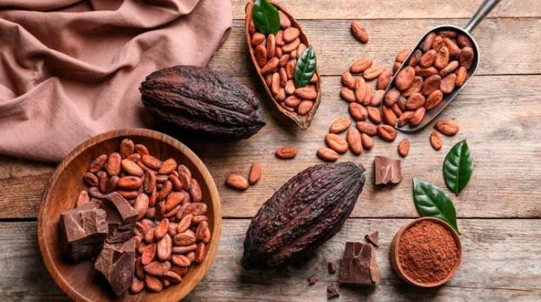 Cacao ya no volverá a su mismo precio: Hacienda La Luz