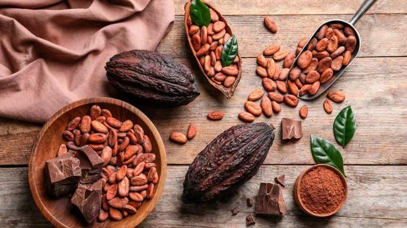 Cacao ya no volverá a su mismo precio: Hacienda La Luz