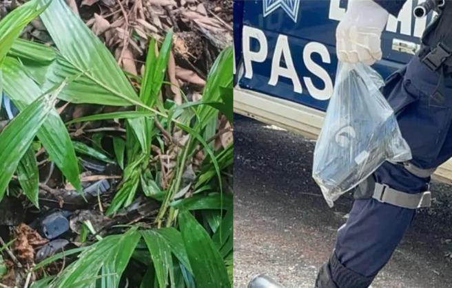 Alumno de primaria en Chiapas encuentra arma de fuego en el campo de su escuela