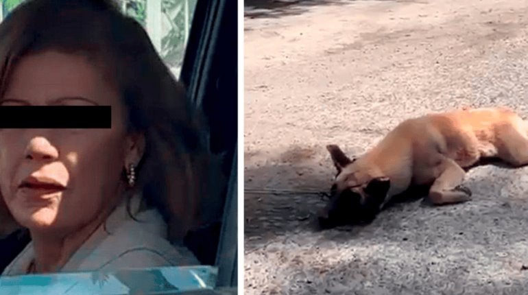 Exhiben a mujer en Jalisco que arrastraba a perrito marrado a su camioneta