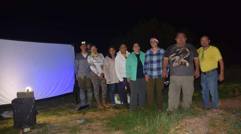 Avanza UJAT en muestreo de mariposas nocturnas de la Reserva de la Biosfera de Wanha´