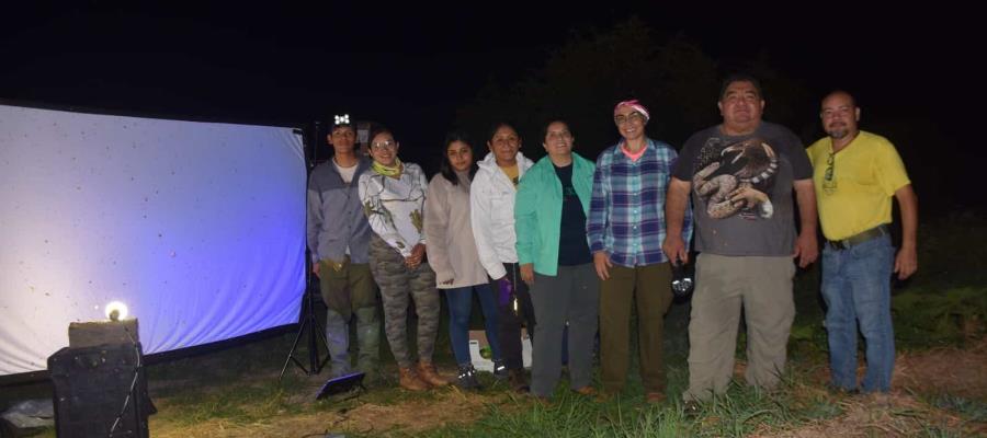 Avanza UJAT en muestreo de mariposas nocturnas de la Reserva de la Biosfera de Wanha´