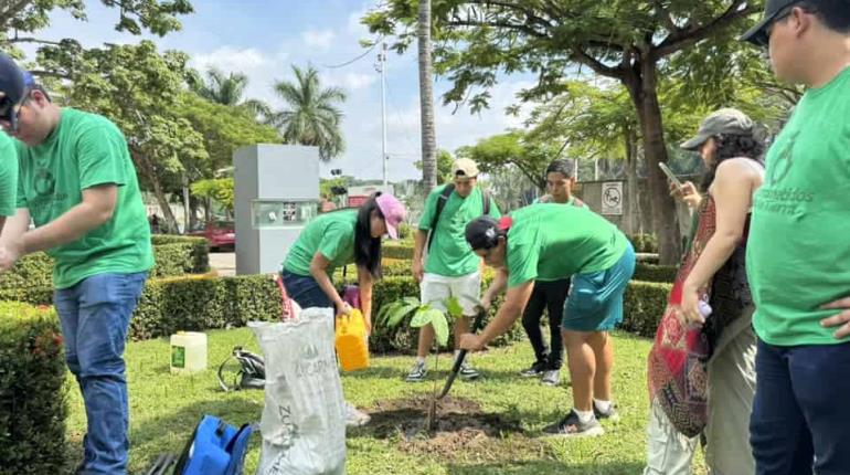 Movimiento Comprometidos con la Tierra siembra más de 350 árboles en Villahermosa