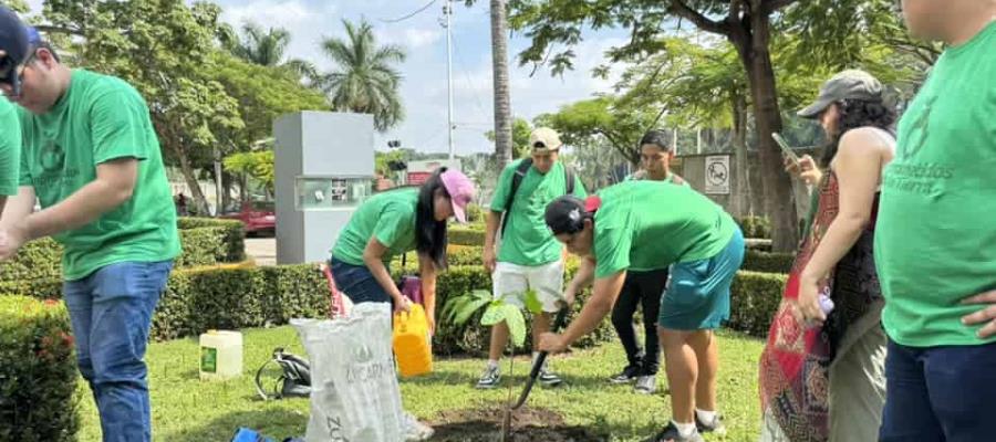 Movimiento Comprometidos con la Tierra siembra más de 350 árboles en Villahermosa