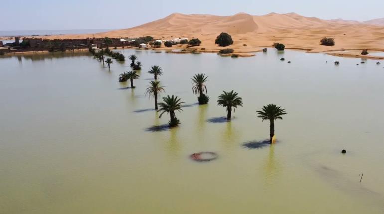 ¡Por primera vez en más de 50 años! Desierto del Sahara inundado por lluvias