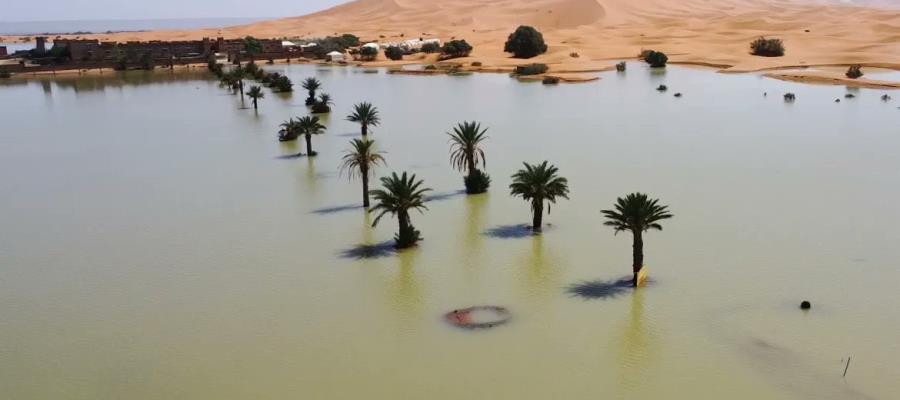 ¡Por primera vez en más de 50 años! Desierto del Sahara inundado por lluvias